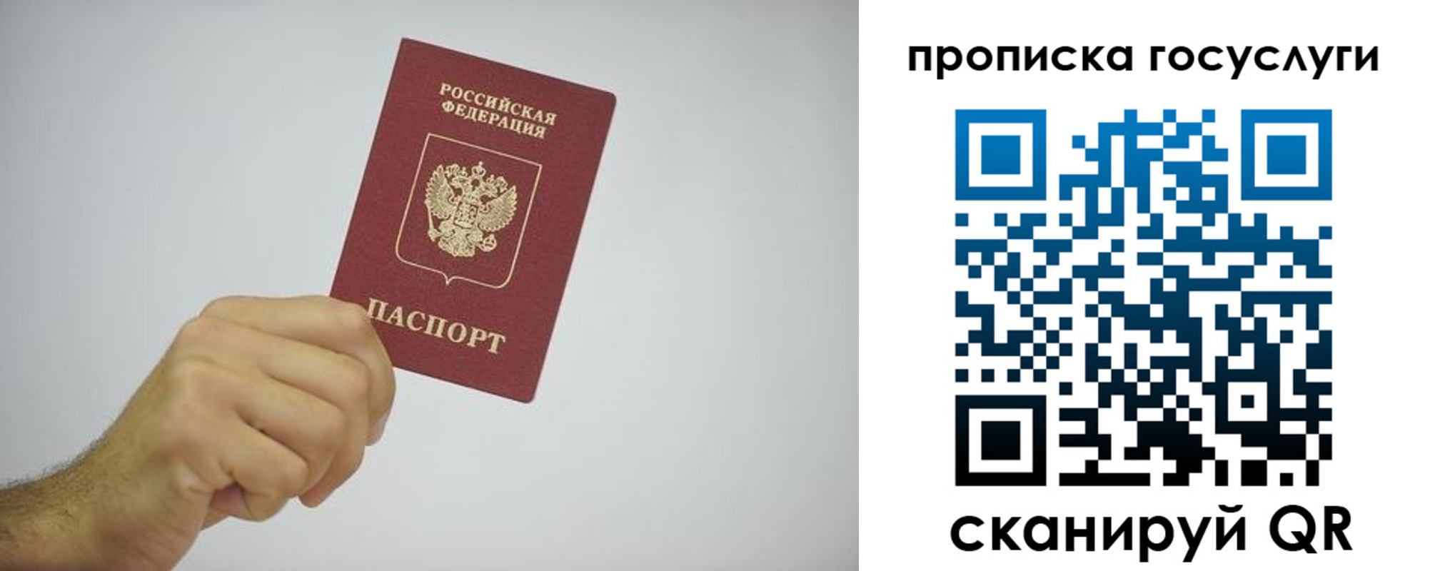 прописка законно в Ростовской области